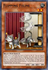 Flipping Feline