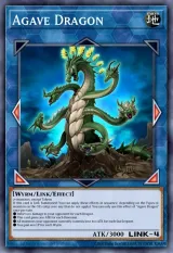 Agave Dragon