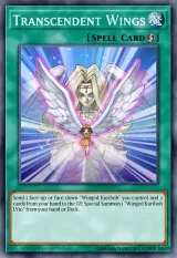 Transcendent Wings