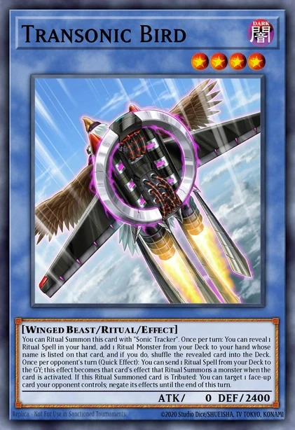 Transonic Bird
