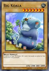 Big Koala