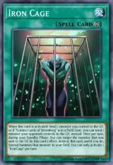 Iron Cage