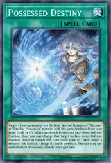 Possessed Destiny