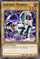 Acrobat Monkey