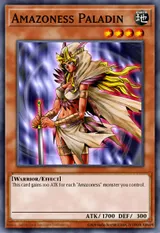 Amazoness Paladin