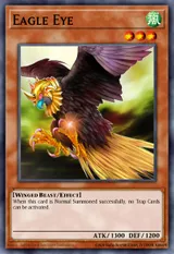 Eagle Eye
