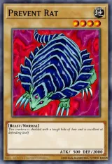 Prevent Rat