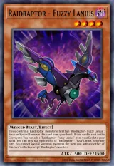 Raidraptor - Fuzzy Lanius
