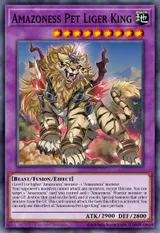 Amazoness Pet Liger King