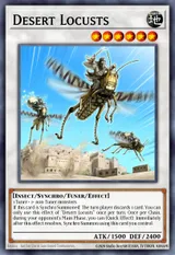 Desert Locusts