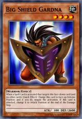 Big Shield Gardna