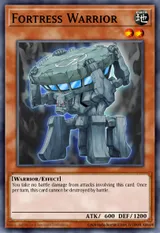 Fortress Warrior