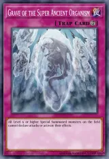 Grave of the Super Ancient Organism