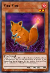 Fox Fire
