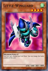 Little-Winguard