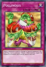 Pollinosis